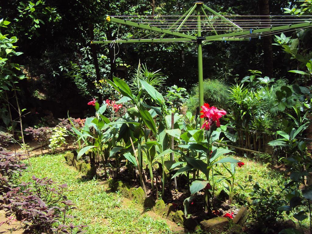 Araliya Home Stay Kandy Exterior photo